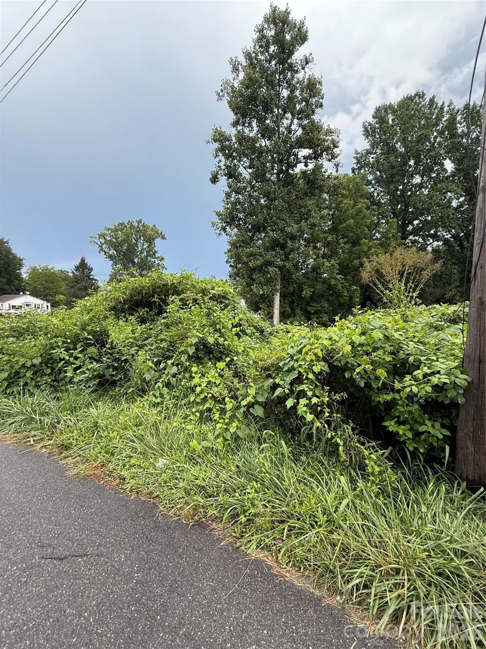 00000 Duckworth Avenue #1 Brevard, NC 28712