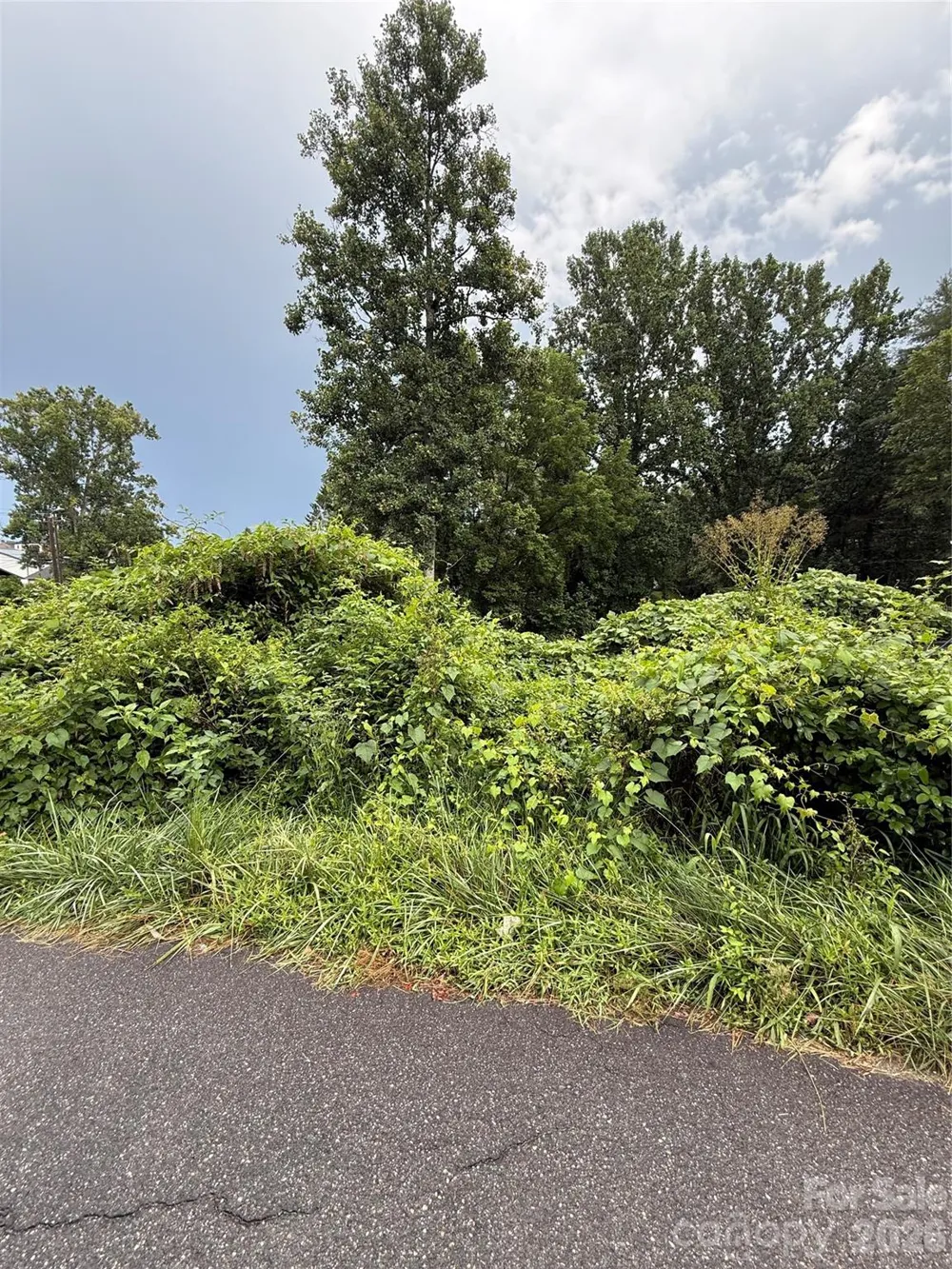 00000 Duckworth Avenue #1 Brevard, NC 28712