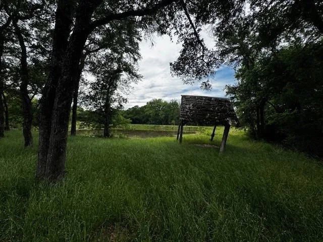 County Road 1000 Road Wortham, TX 76693