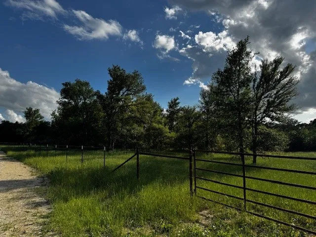 County Road 1000 Road Wortham, TX 76693
