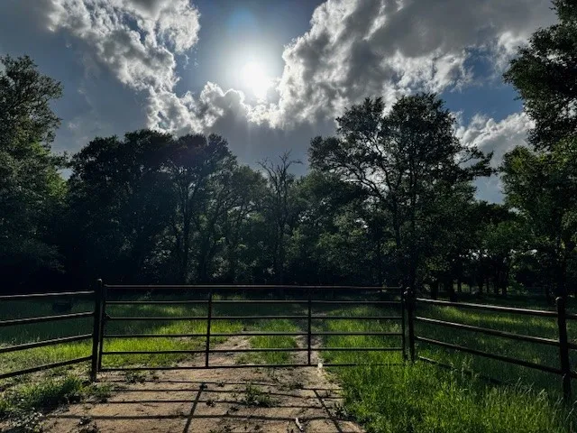 County Road 1000 Road Wortham, TX 76693