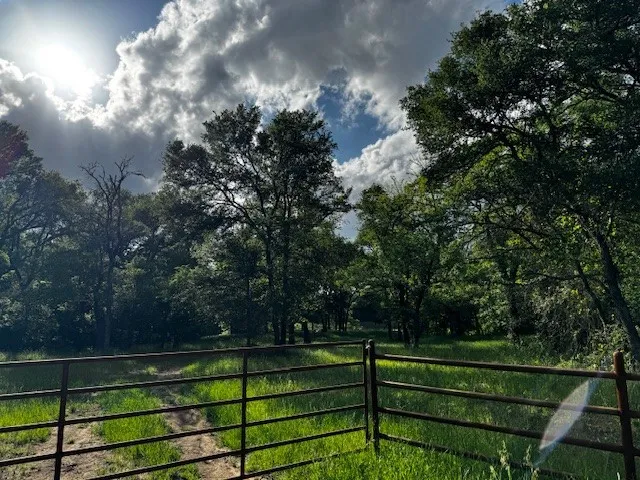 County Road 1000 Road Wortham, TX 76693