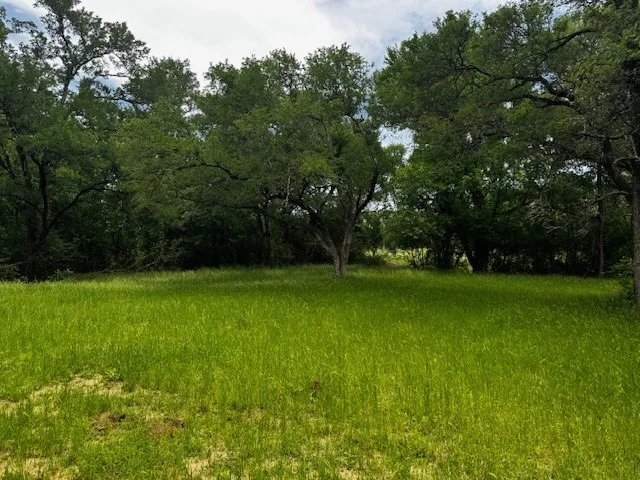 County Road 1000 Road Wortham, TX 76693