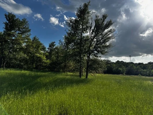 County Road 1000 Road Wortham, TX 76693