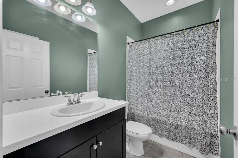 17651 BRIGHT WHEAT DRIVE Lithia, FL 33547