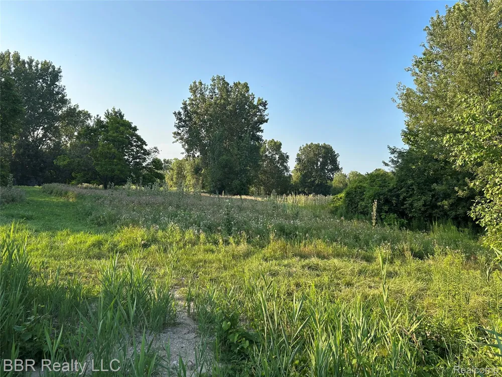WILL CARLETON Huron Charter Township, MI 48164