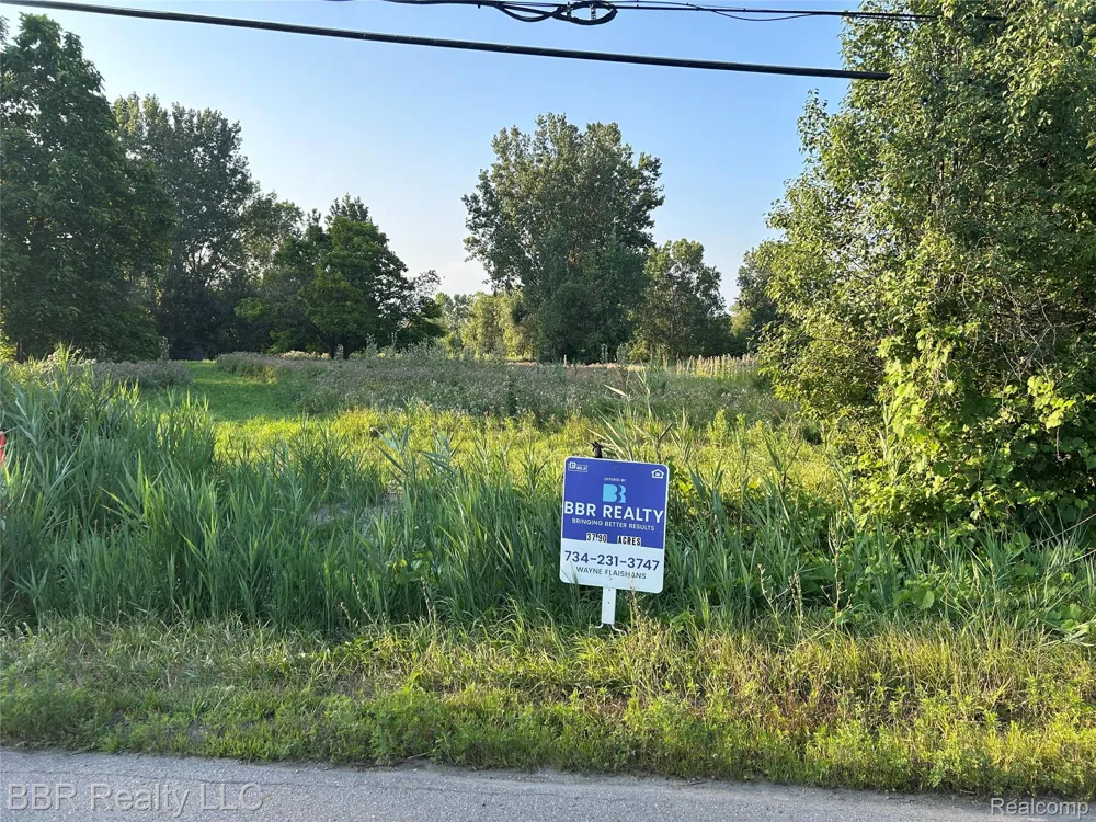 WILL CARLETON Huron Charter Township, MI 48164