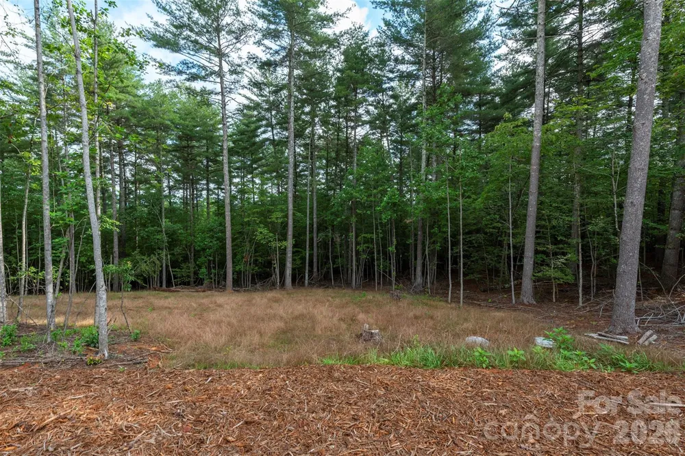 1156 Campbells Trace Nebo, NC 28761