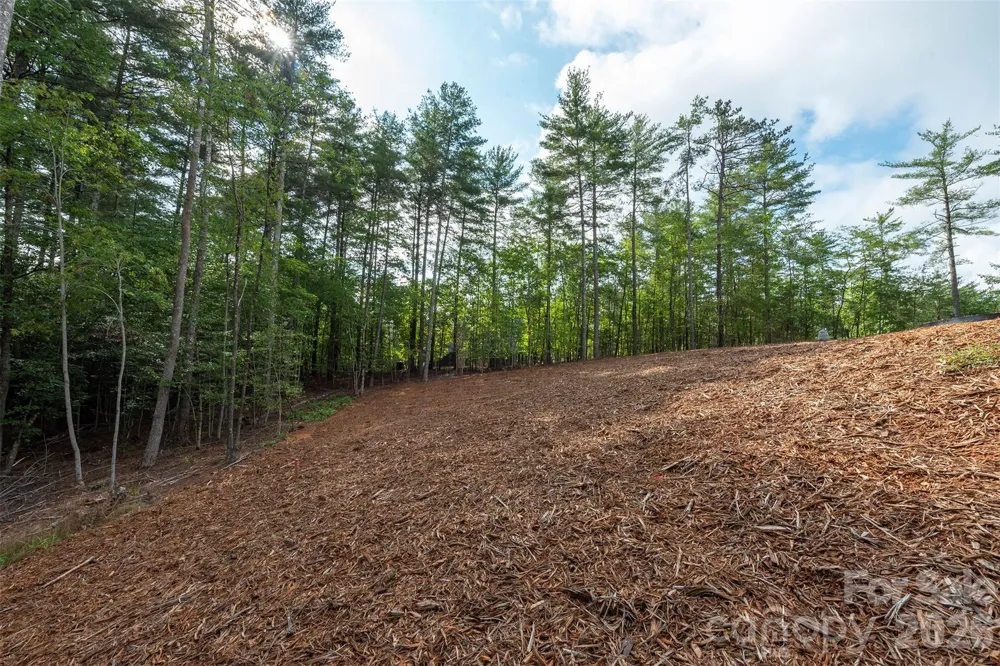 1156 Campbells Trace Nebo, NC 28761