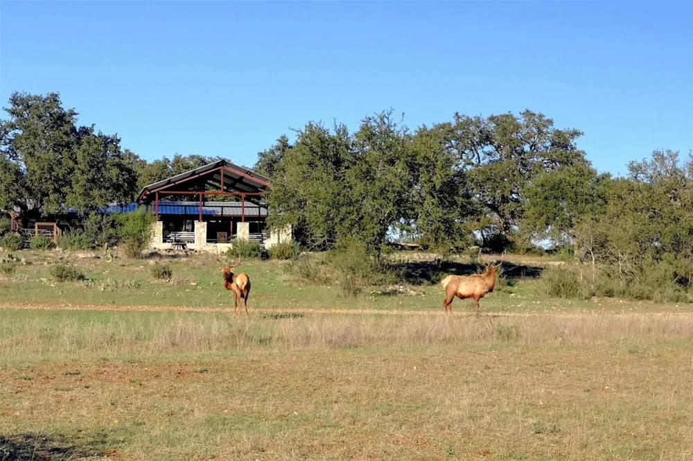 108 Oryx Cove Blanco, TX 78606