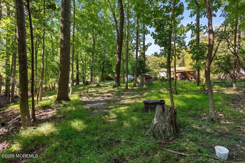299 Metedeconk Trail Jackson, NJ 08527