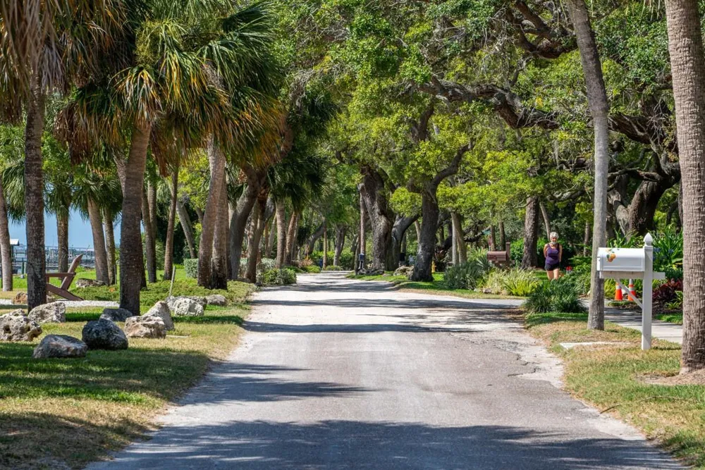 439 LOUDEN AVENUE Dunedin, FL 34698