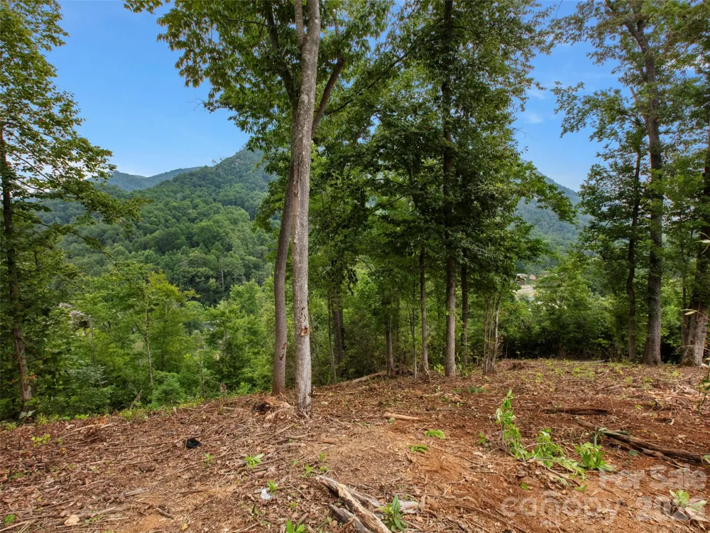 213 Three Rivers Drive Hendersonville, NC 28792