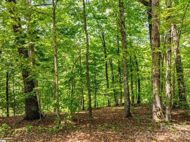 67 & 68 Wildflower Lane Travelers Rest, SC 29690