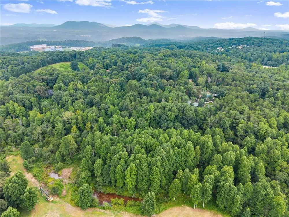 481 Leona Lane Cleveland, GA 30528