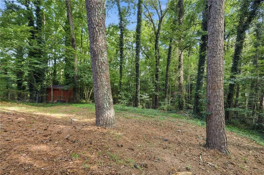 8862 Raven Drive Jonesboro, GA 30238