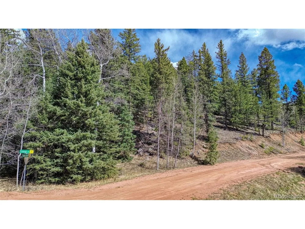 3075 Mountain Estates Road Florissant, CO 80816