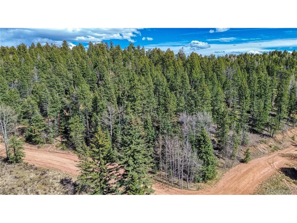 3075 Mountain Estates Road Florissant, CO 80816