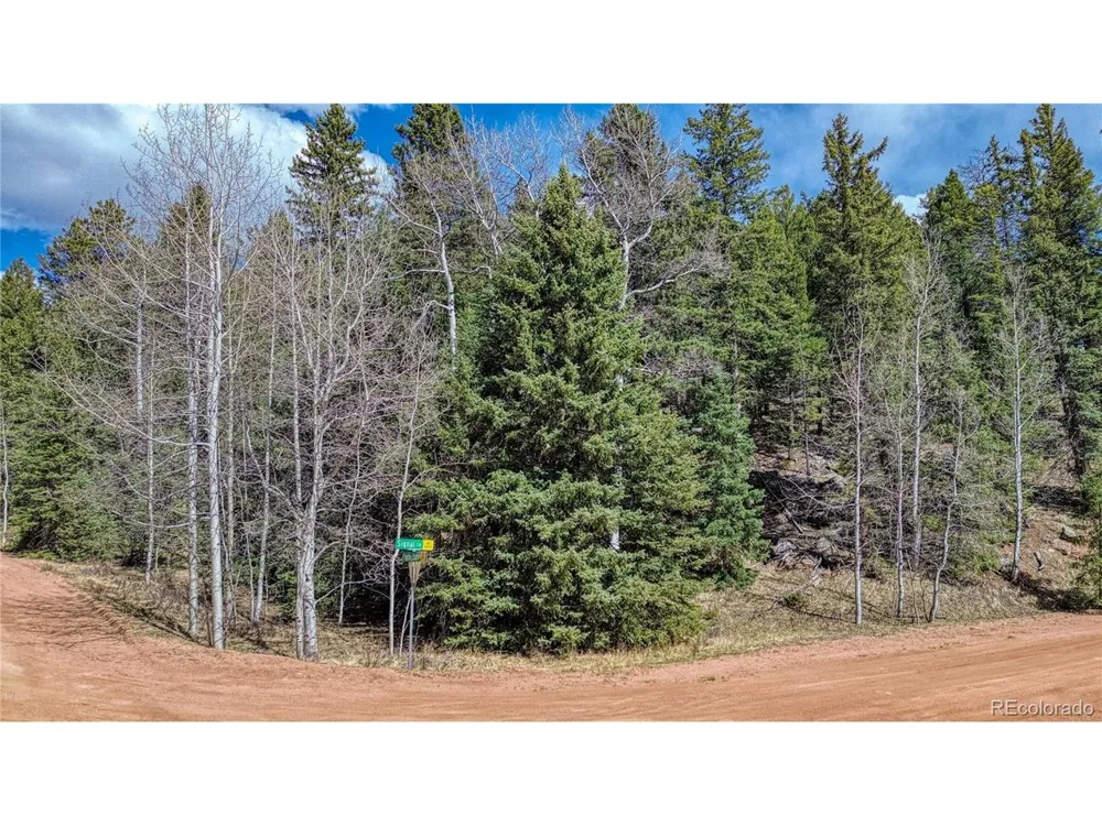 3075 Mountain Estates Road Florissant, CO 80816