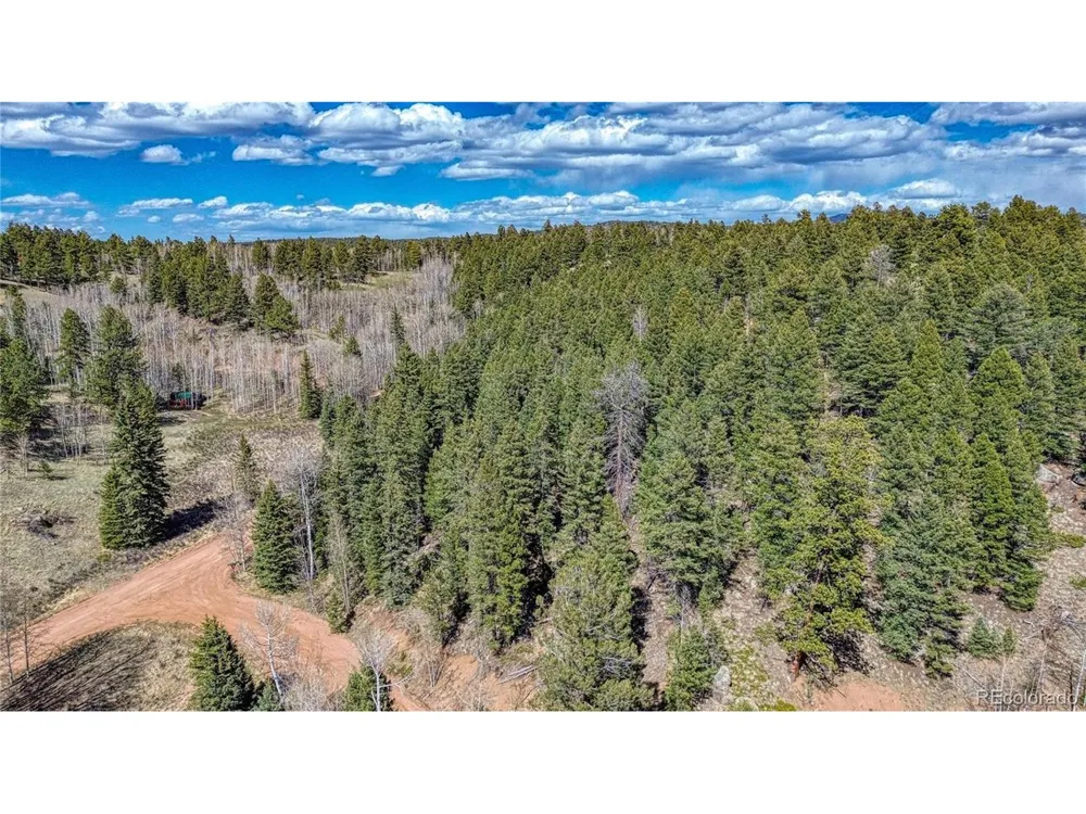 3075 Mountain Estates Road Florissant, CO 80816