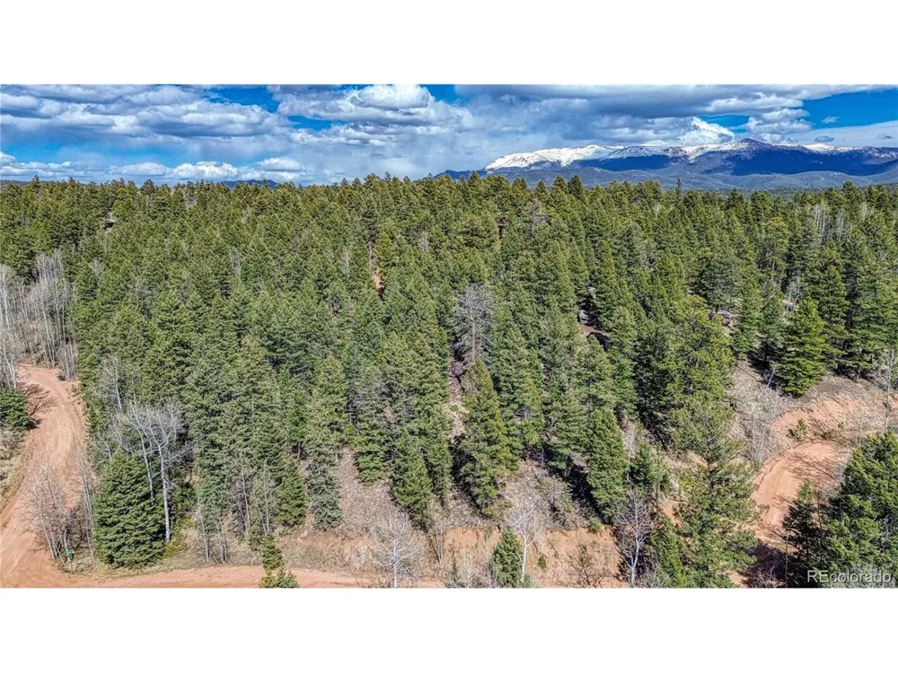 3075 Mountain Estates Road Florissant, CO 80816