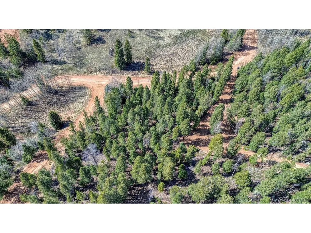 3075 Mountain Estates Road Florissant, CO 80816
