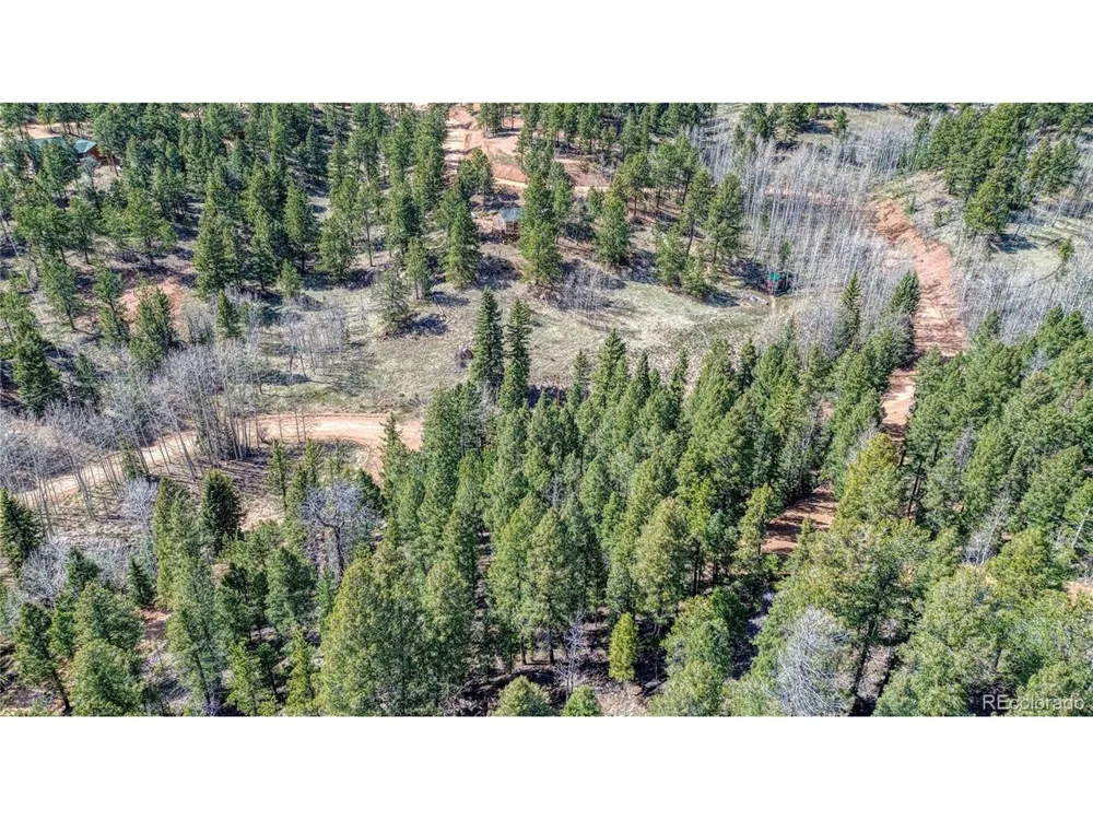 3075 Mountain Estates Road Florissant, CO 80816