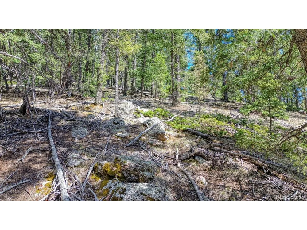 3075 Mountain Estates Road Florissant, CO 80816