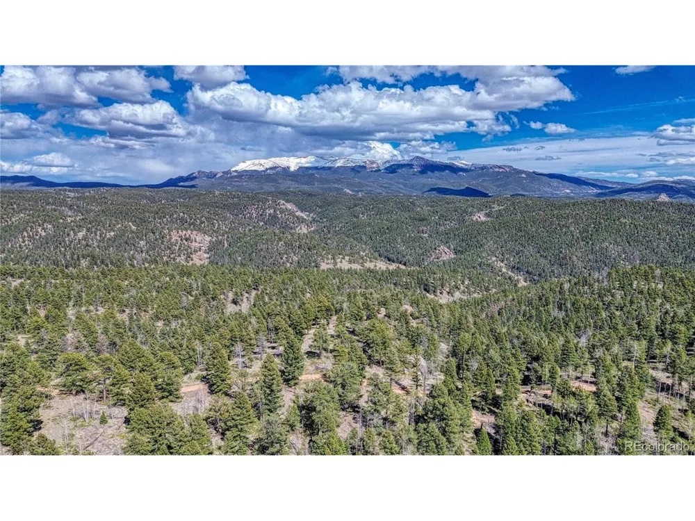 3075 Mountain Estates Road Florissant, CO 80816