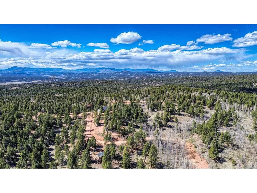 3075 Mountain Estates Road Florissant, CO 80816