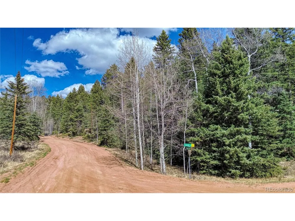 3075 Mountain Estates Road Florissant, CO 80816