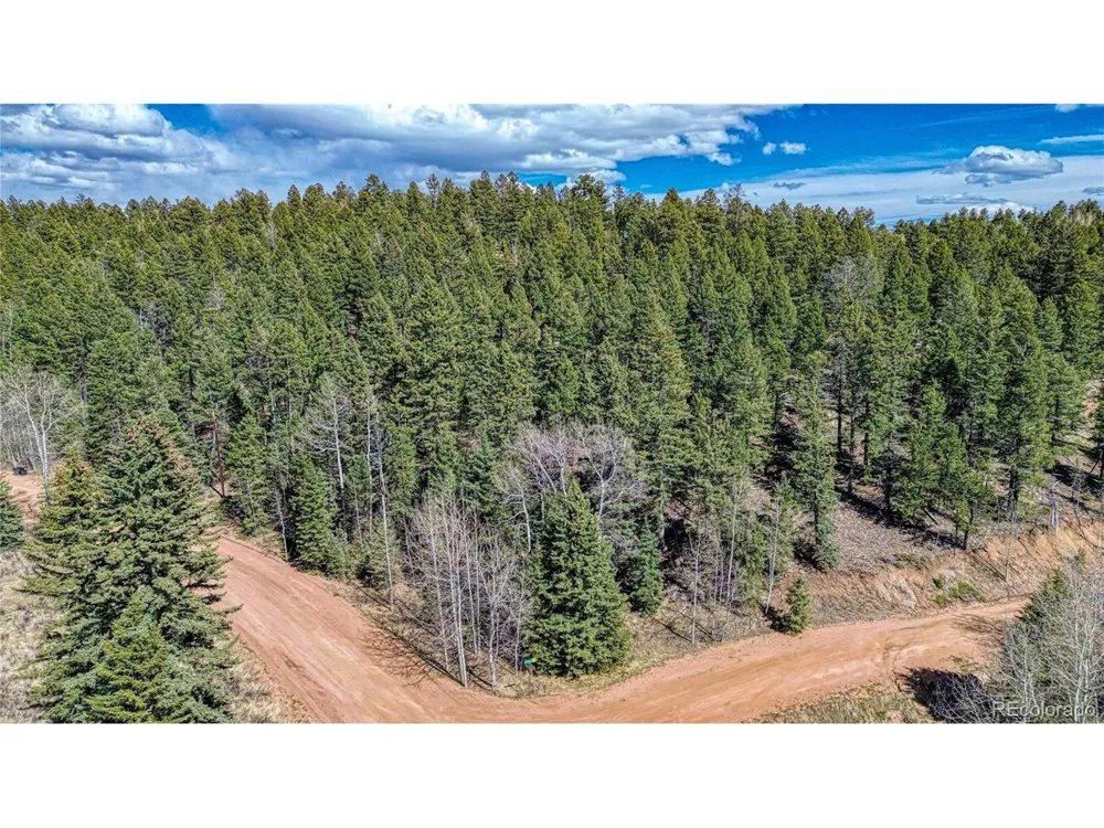 3075 Mountain Estates Road Florissant, CO 80816