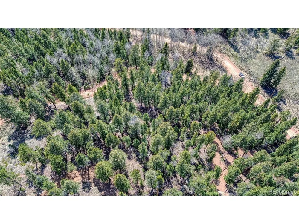3075 Mountain Estates Road Florissant, CO 80816