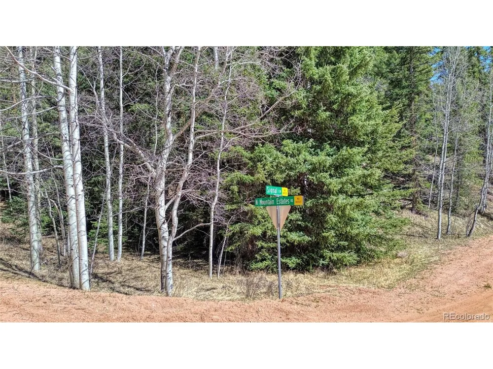 3075 Mountain Estates Road Florissant, CO 80816