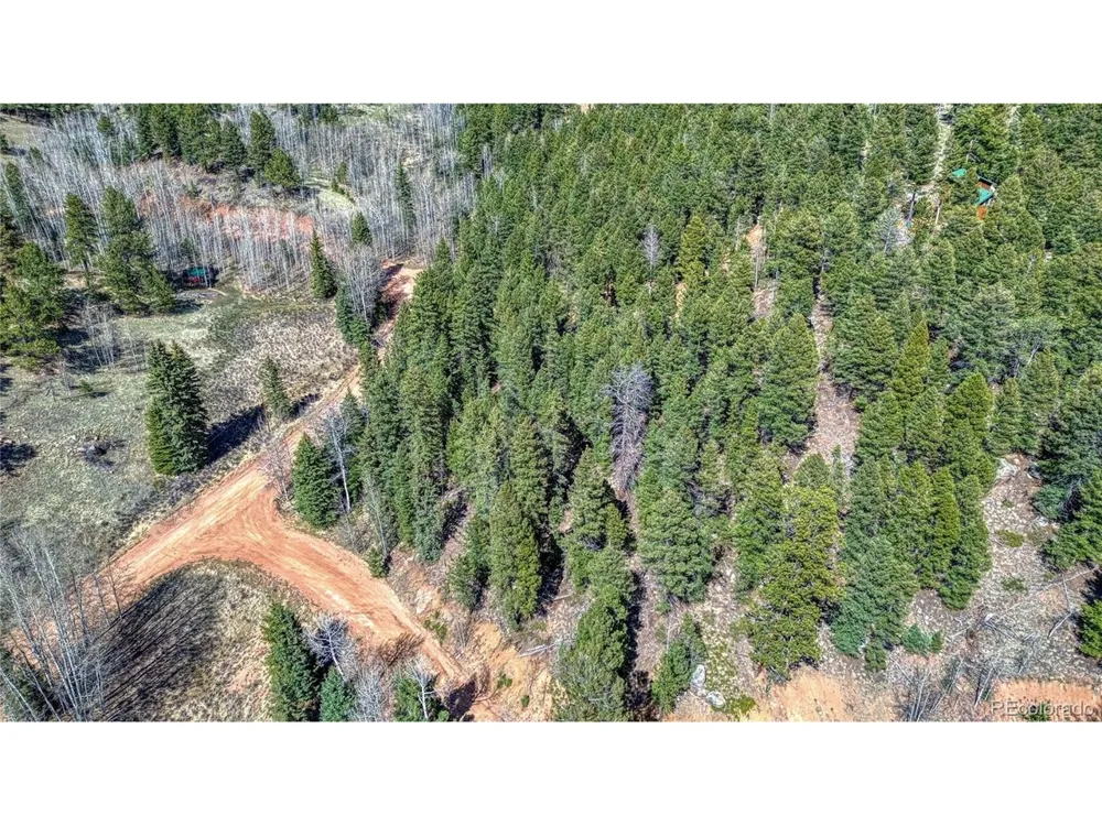 3075 Mountain Estates Road Florissant, CO 80816