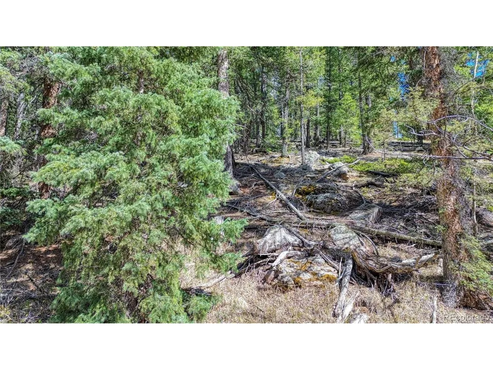 3075 Mountain Estates Road Florissant, CO 80816