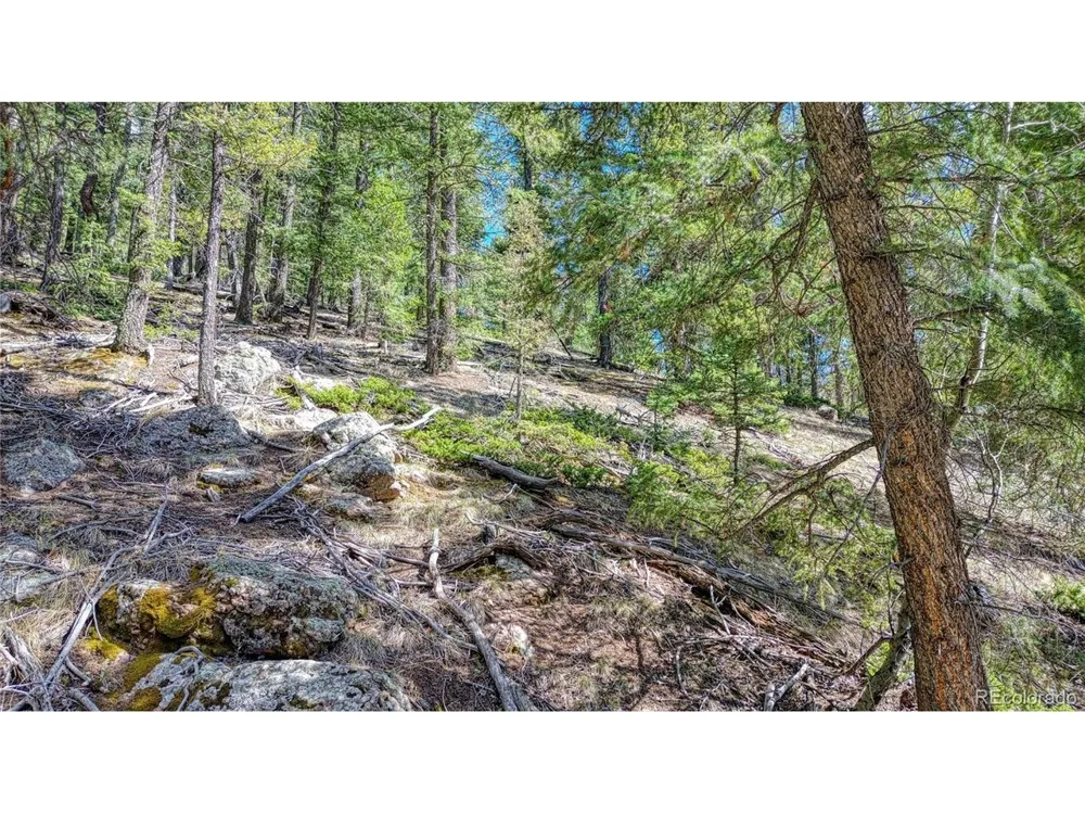 3075 Mountain Estates Road Florissant, CO 80816