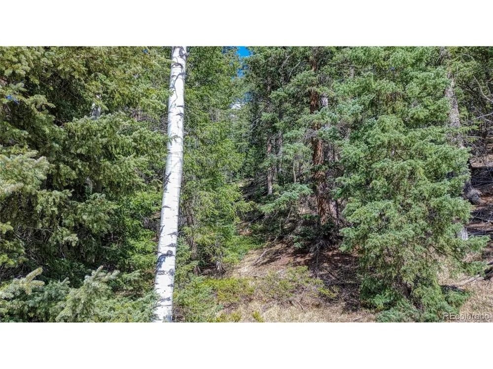 3075 Mountain Estates Road Florissant, CO 80816
