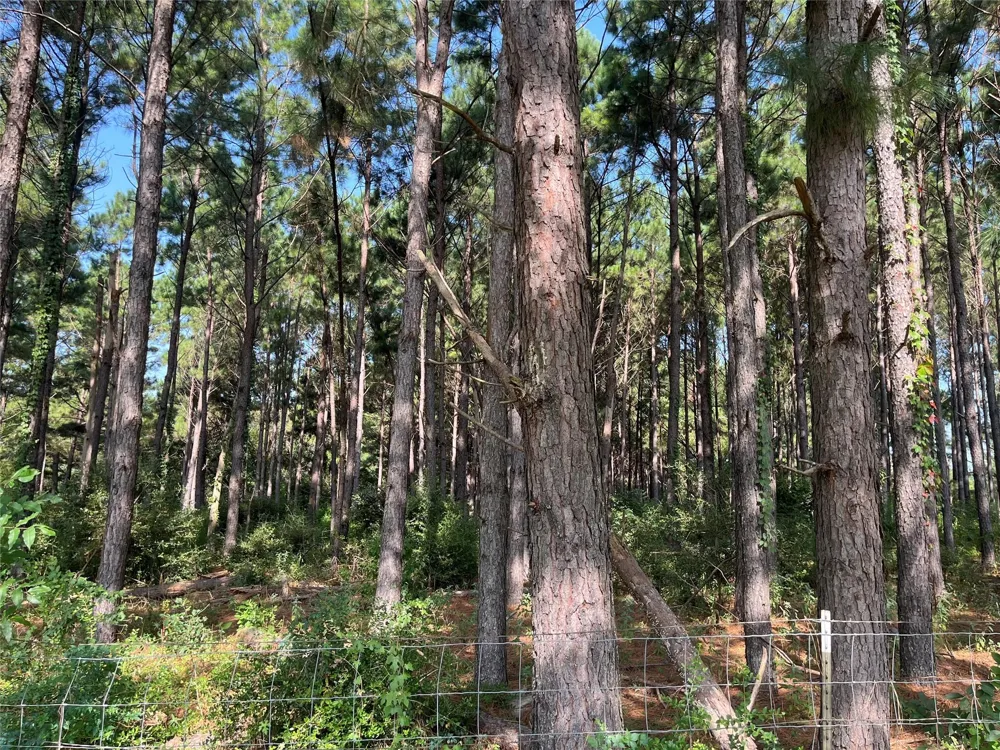Cr 320 Centerville, TX 75833