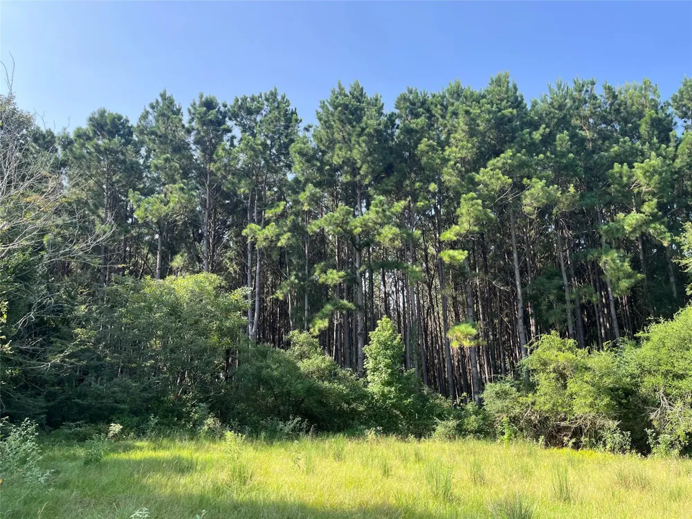 Cr 320 Centerville, TX 75833