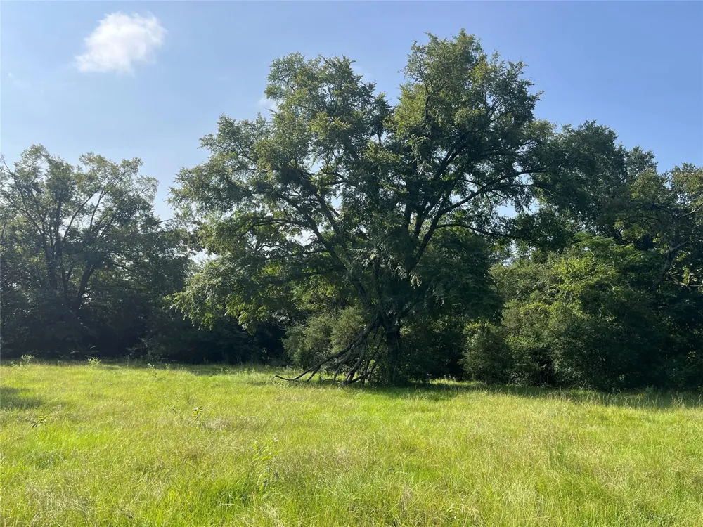 Cr 320 Centerville, TX 75833