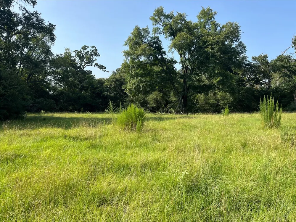 Cr 320 Centerville, TX 75833