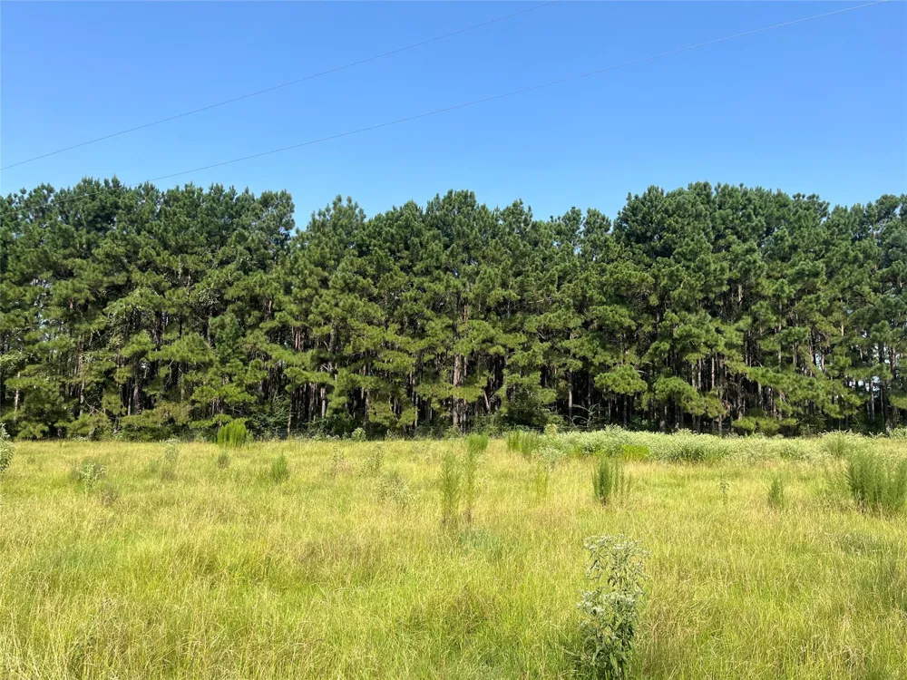 Cr 320 Centerville, TX 75833