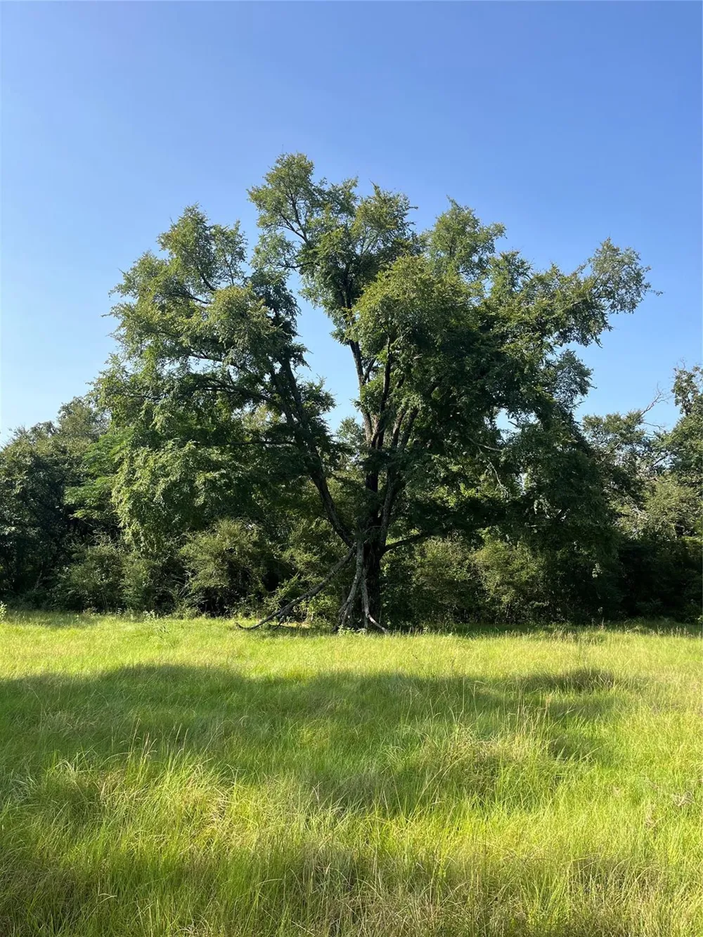 Cr 320 Centerville, TX 75833