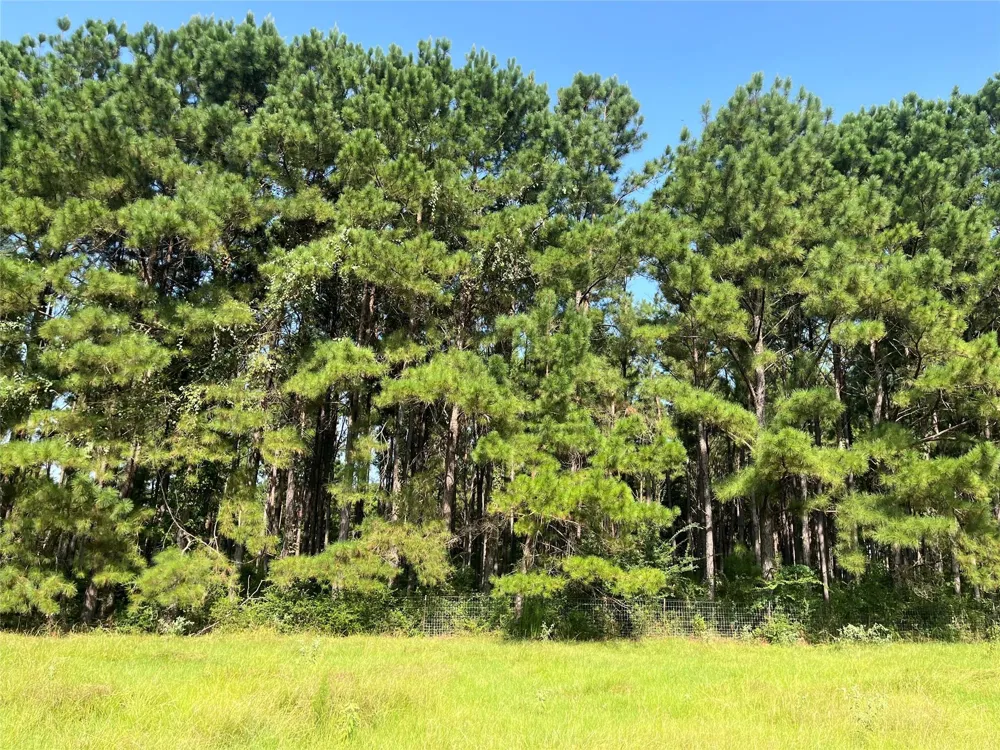 Cr 320 Centerville, TX 75833