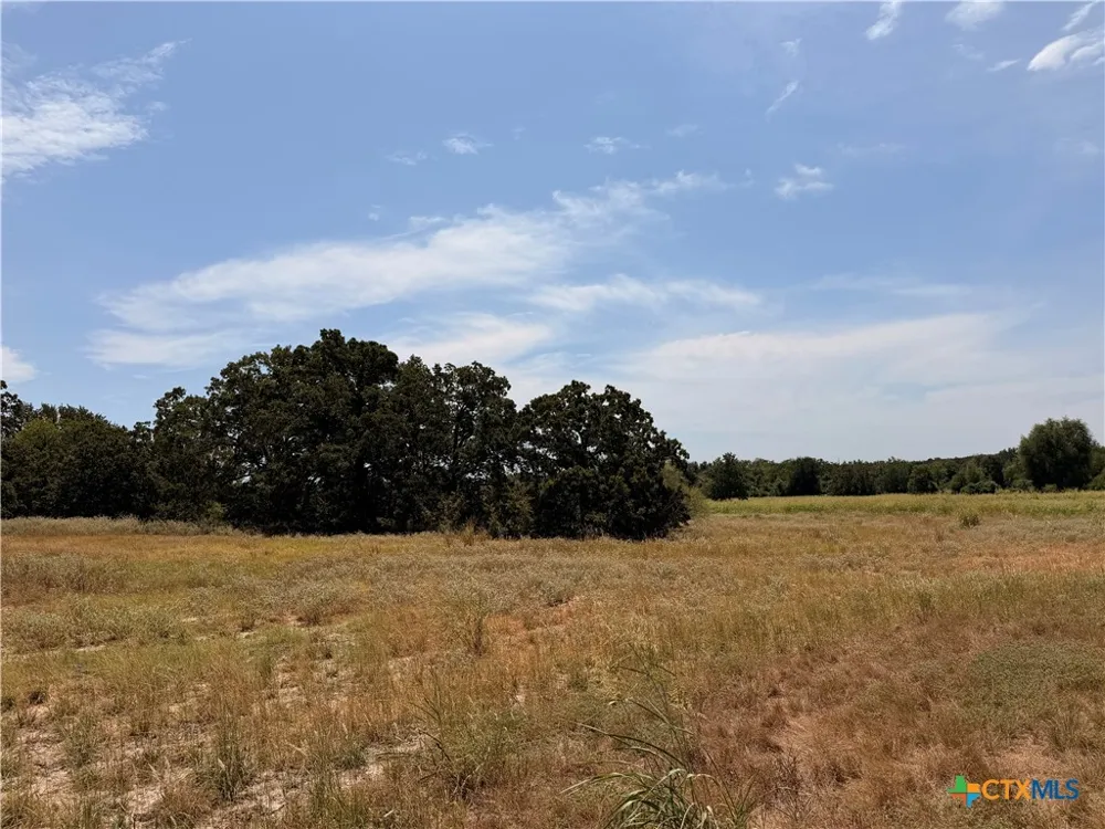 6038 County Road 234 Milano, TX 76556