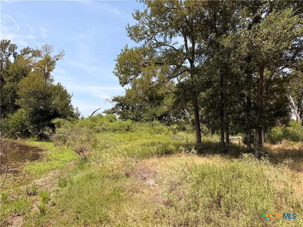 6038 County Road 234 Milano, TX 76556