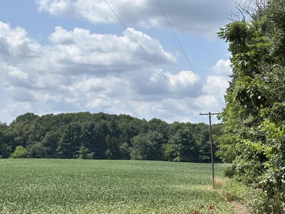 Jacob Road Grass Lake, MI 49240