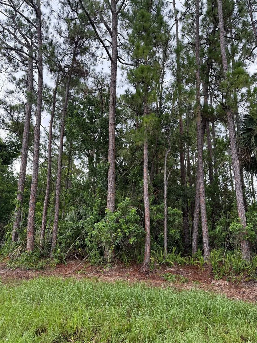 2361 SAN FILIPPO DRIVE SE Palm Bay, FL 32909