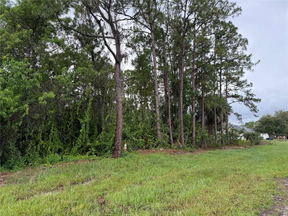 2361 SAN FILIPPO DRIVE SE Palm Bay, FL 32909